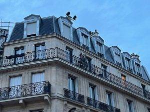 APRES


ARDOISE

2 BD JEAN JAURES 

92100 BOULOGNE